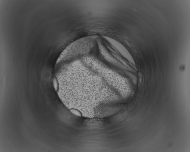 X0000089440331200707131911