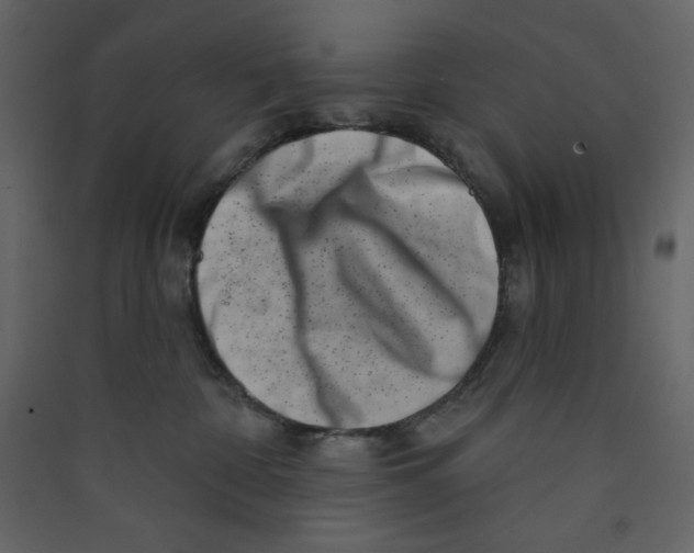 X0000089440332200707131911