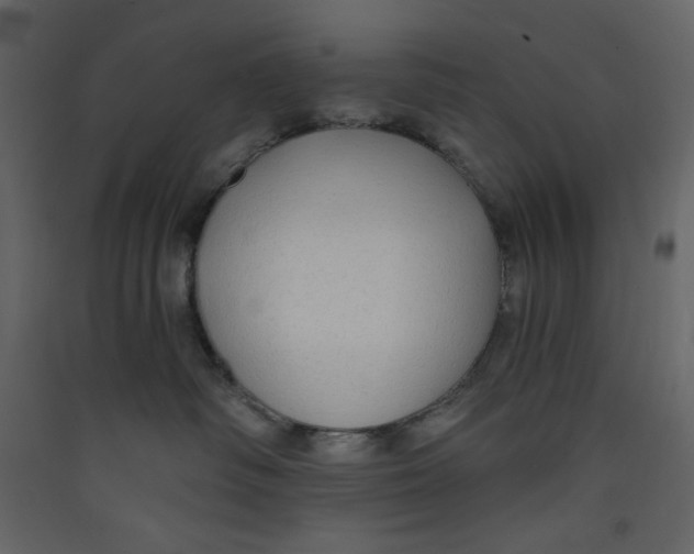 X0000089440334200707131911