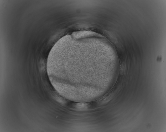 X0000089440335200707131911