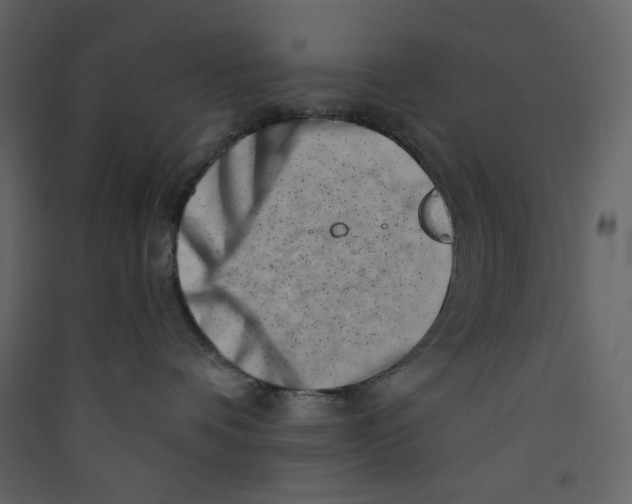 X0000089440336200707131911