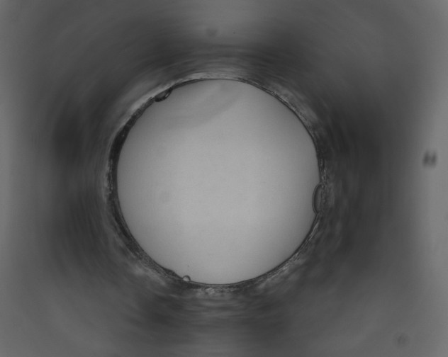 X0000089440338200707131910