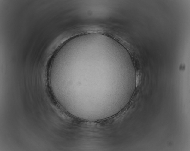 X0000089440339200707131910