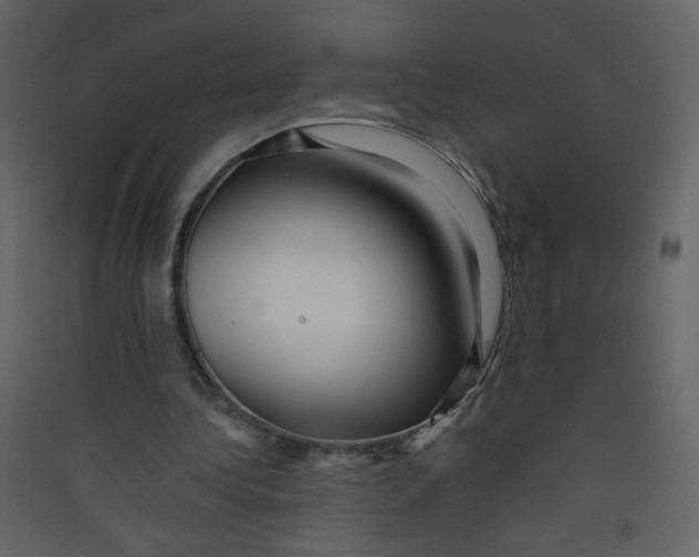 X0000089440340200707131910