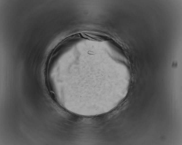 X0000089440341200707131910