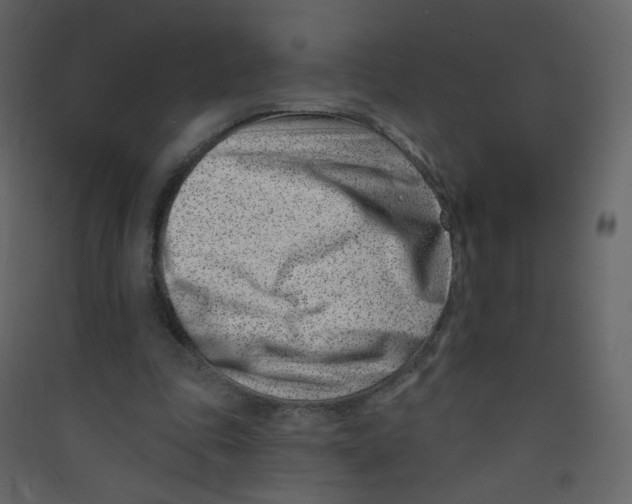 X0000089440343200707131910
