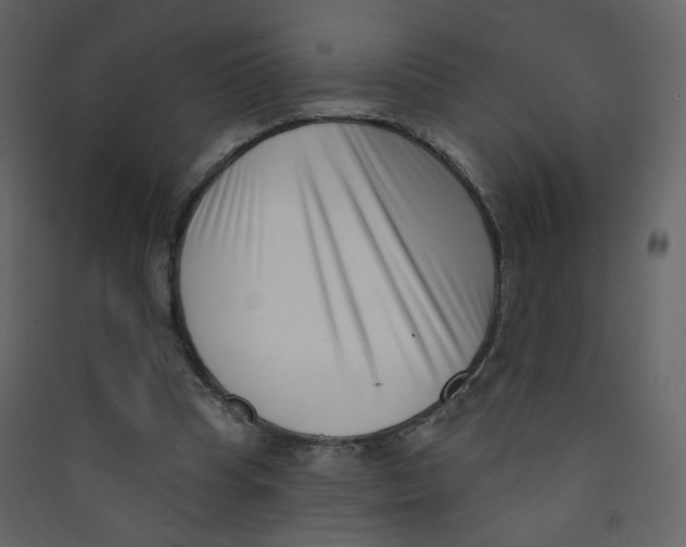 X0000089440345200707131910