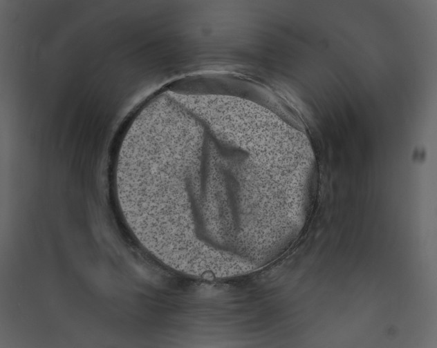X0000089440346200707131910