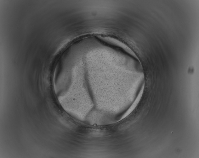 X0000089440347200707131910