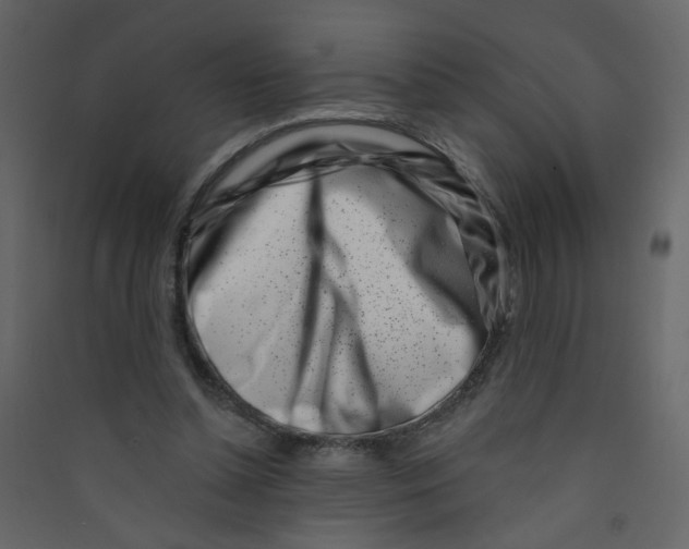 X0000089440348200707131910