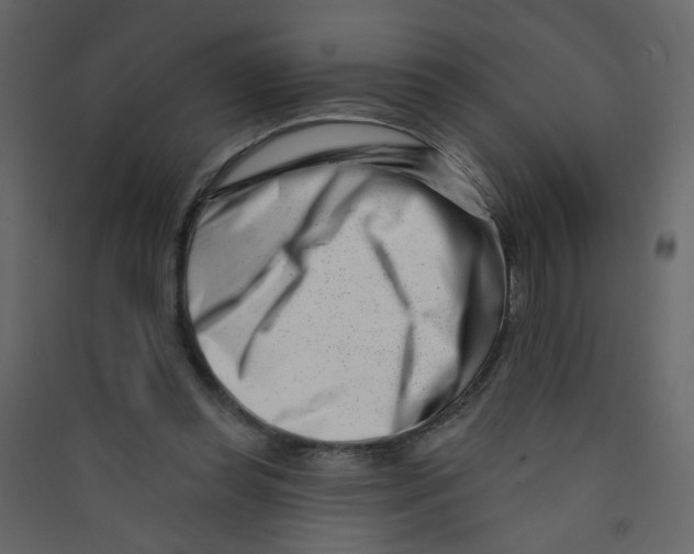 X0000089440349200707131910