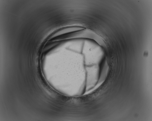 X0000089440350200707131910
