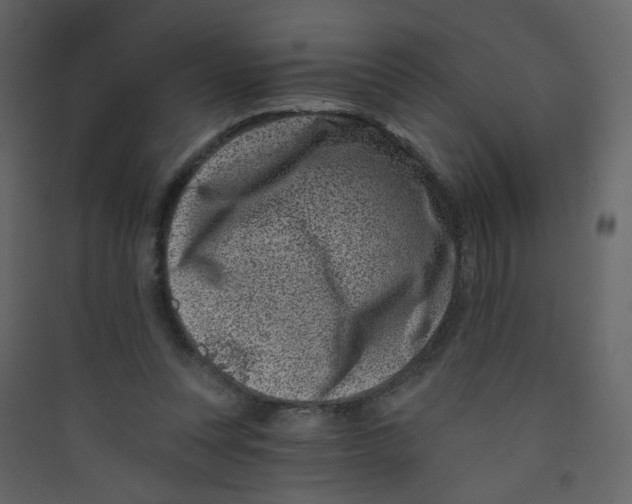 X0000089440351200707131910