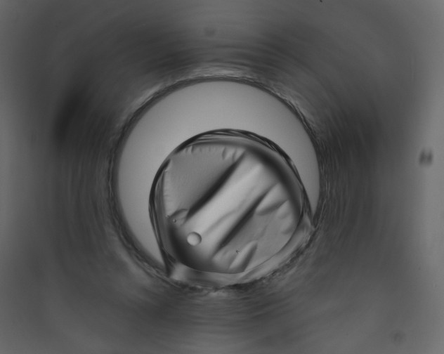 X0000089440352200707131910