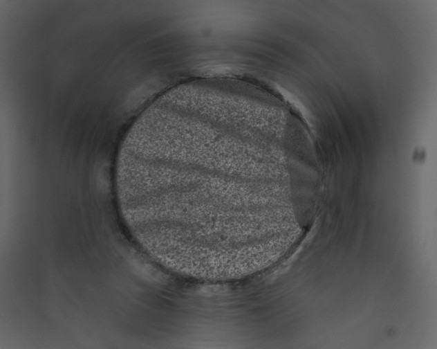 X0000089440353200707131910