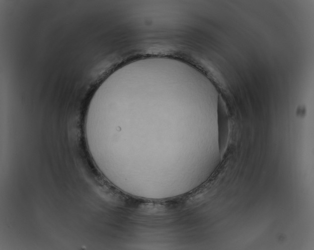 X0000089440354200707131910