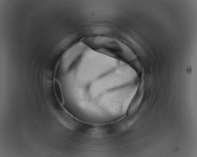 X0000089440356200707131910