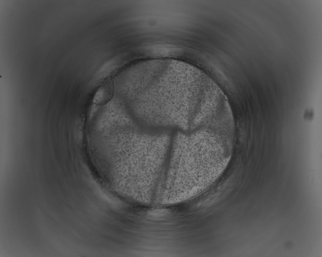 X0000089440357200707131910