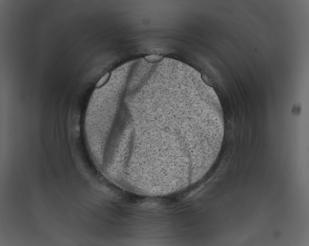 X0000089440358200707131910