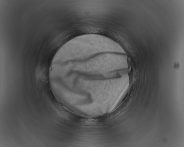 X0000089440359200707131910