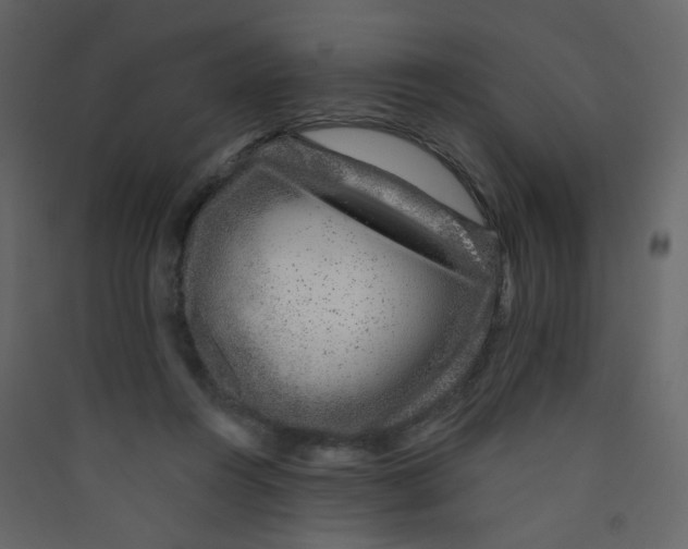X0000089440360200707131910