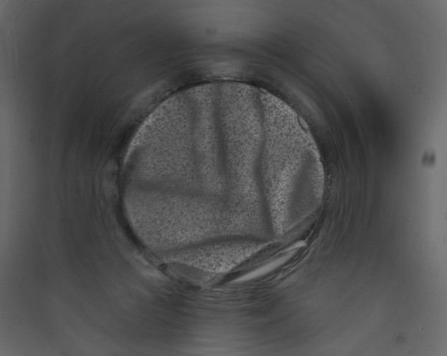 X0000089440361200707131910