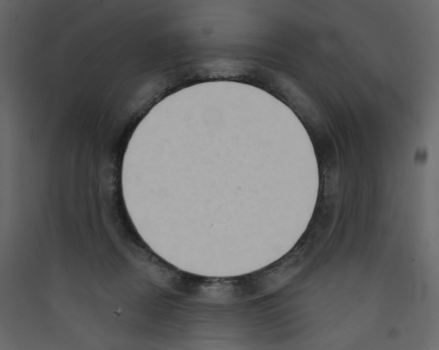 X0000089440362200707131911