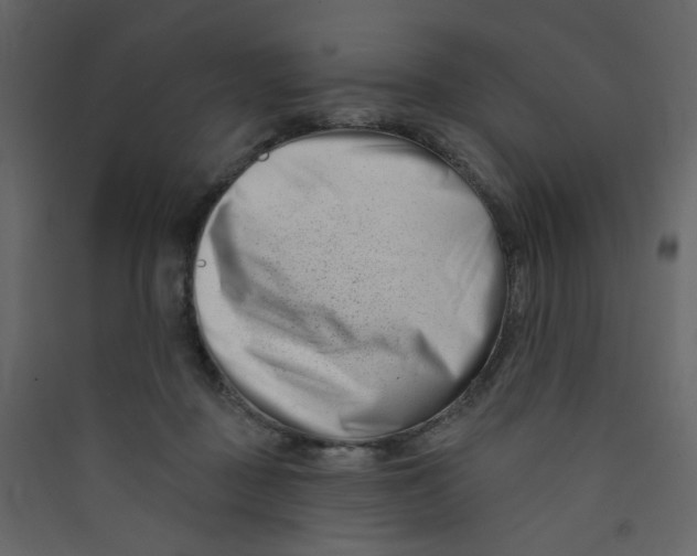 X0000089440363200707131911