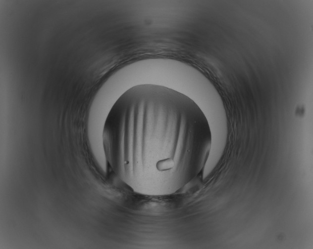 X0000089440364200707131911