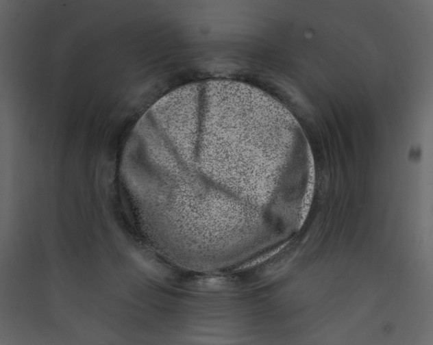 X0000089440365200707131911