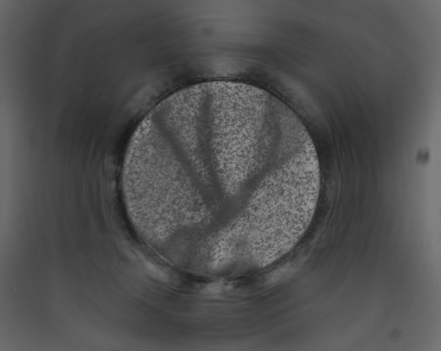 X0000089440366200707131911