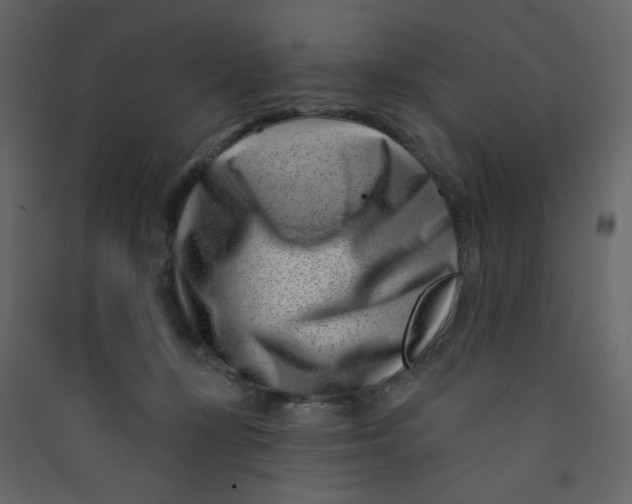 X0000089440367200707131911