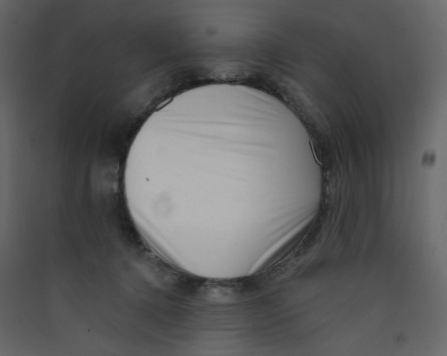 X0000089440368200707131911