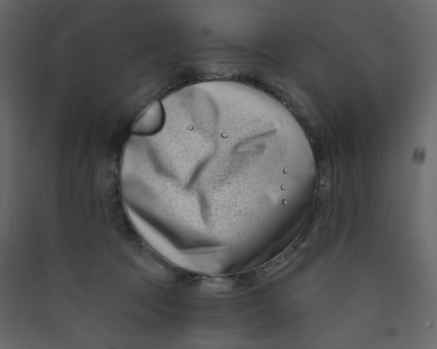 X0000089440369200707131911