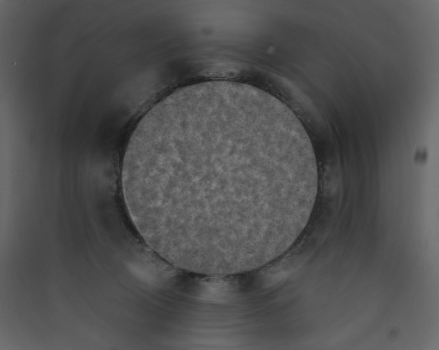 X0000089440370200707131911