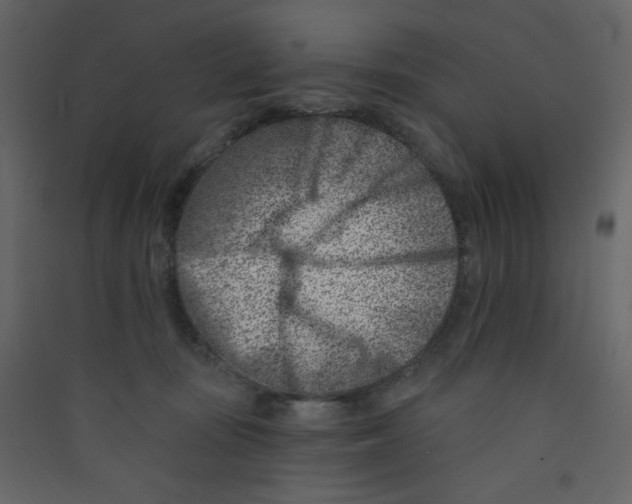 X0000089440371200707131911