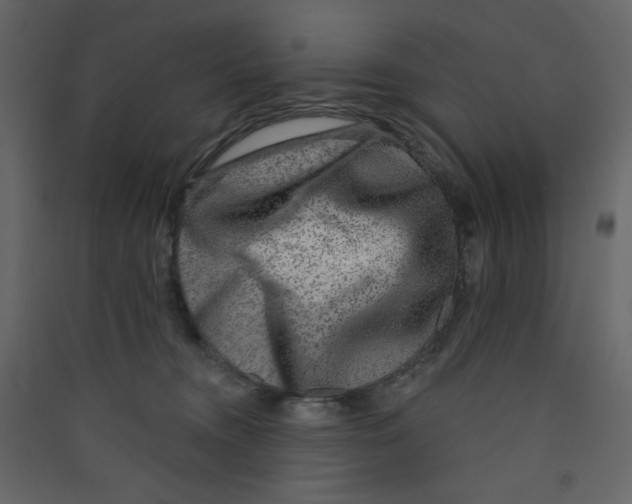 X0000089440372200707131911