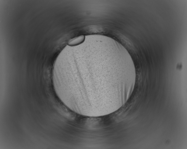 X0000089440373200707131911