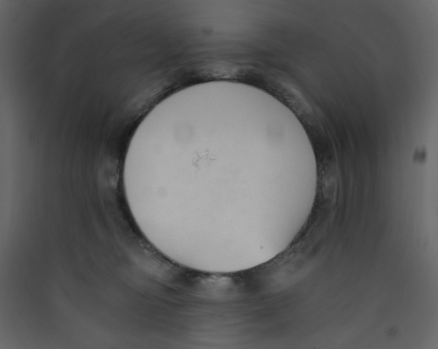 X0000089440374200707131911