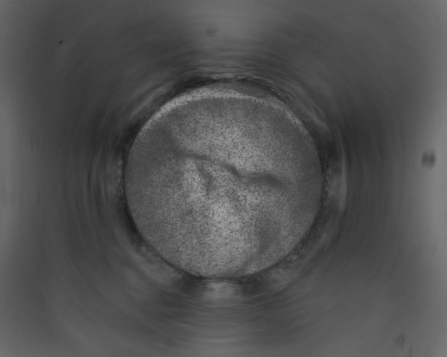 X0000089440376200707131911