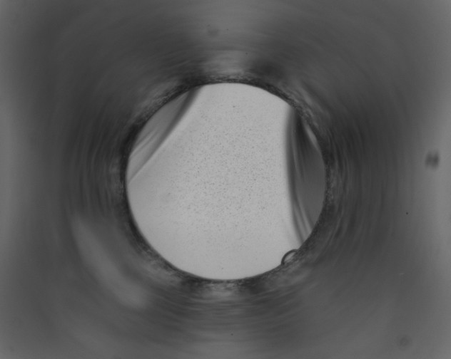 X0000089440377200707131911