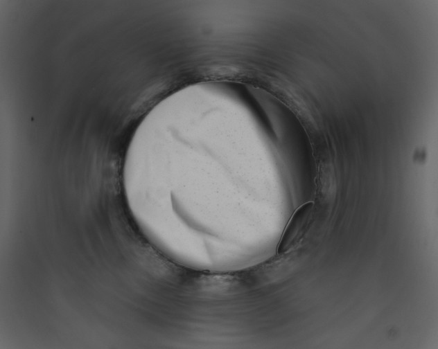 X0000089440378200707131911