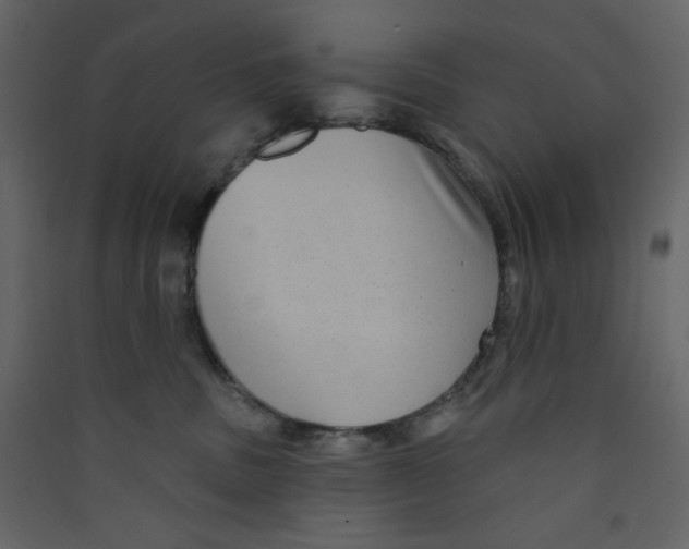 X0000089440379200707131911