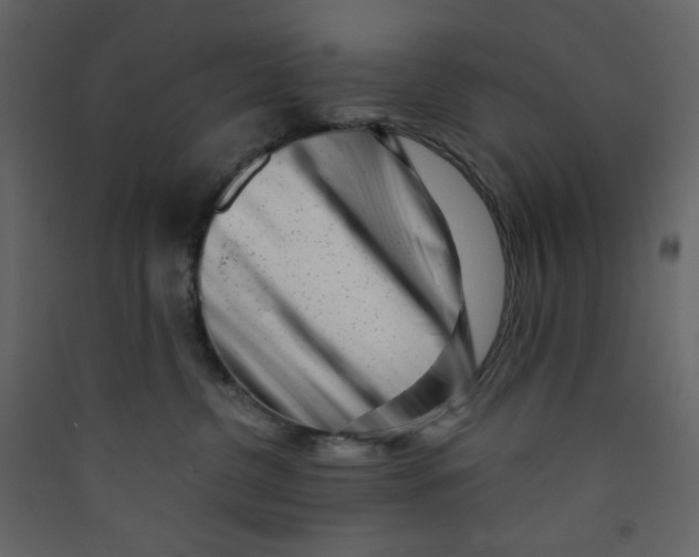 X0000089440380200707131911