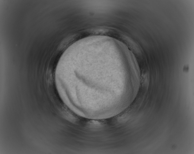 X0000089440381200707131911