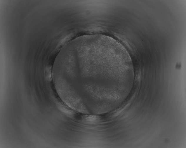 X0000089440383200707131911