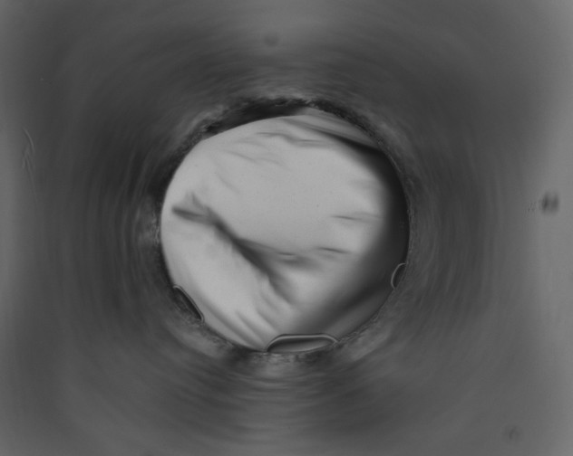 X0000089440384200707131911