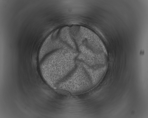 X0000089440386200707131910