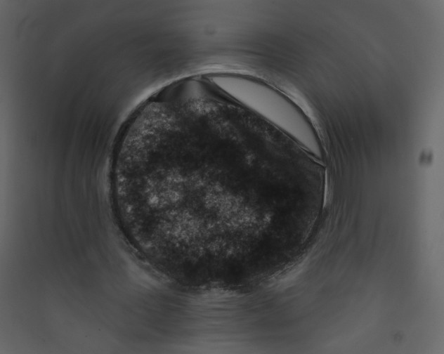 X0000089440387200707131910