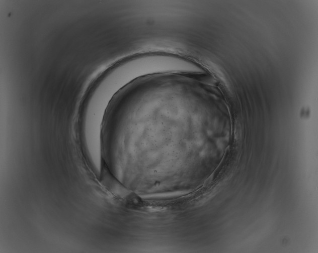 X0000089440388200707131910